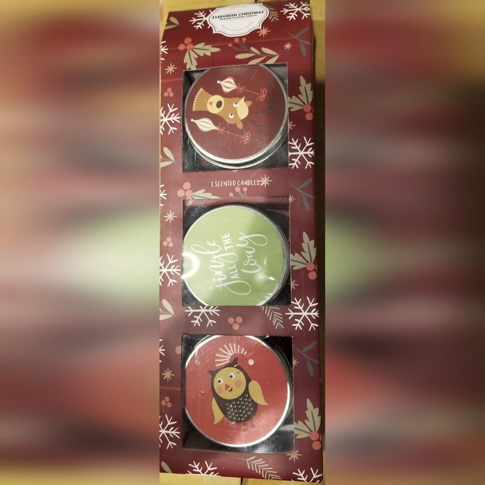 3pk Evergreen Christmas Orange Holiday Candles